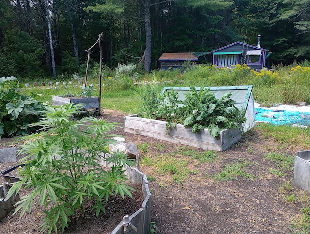 view of yard featuring a vegetable garden and a view of trees