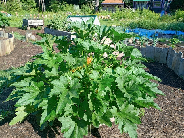 view of yard featuring a vegetable garden and fence