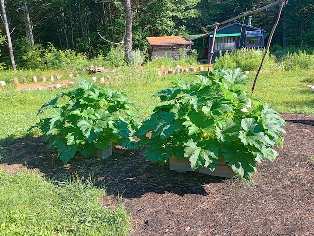 view of yard with a forest view and a vegetable garden