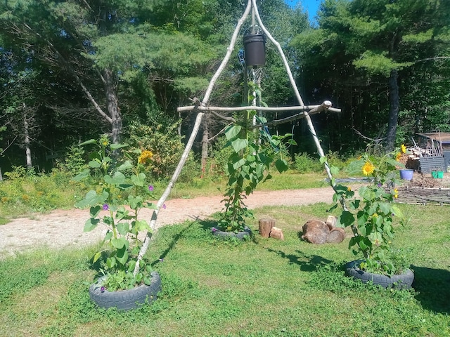 view of playground with a yard