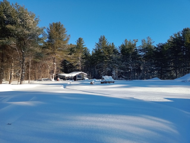 snowy yard featuring a view of trees