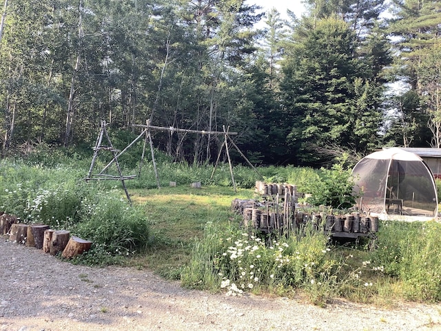 view of yard with a view of trees