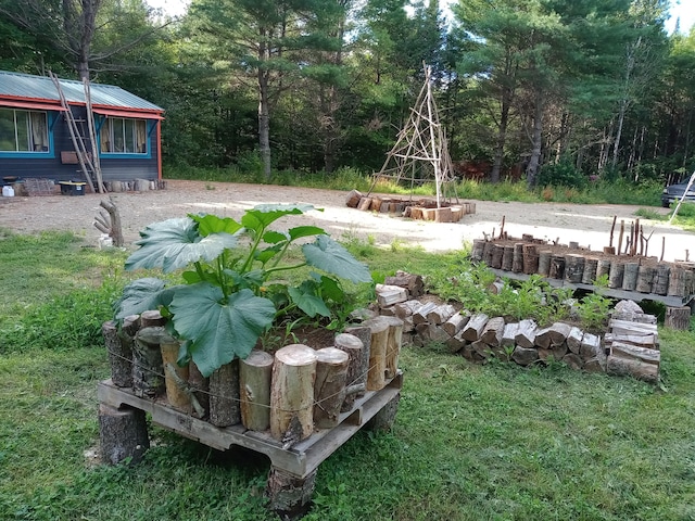 view of yard featuring a forest view