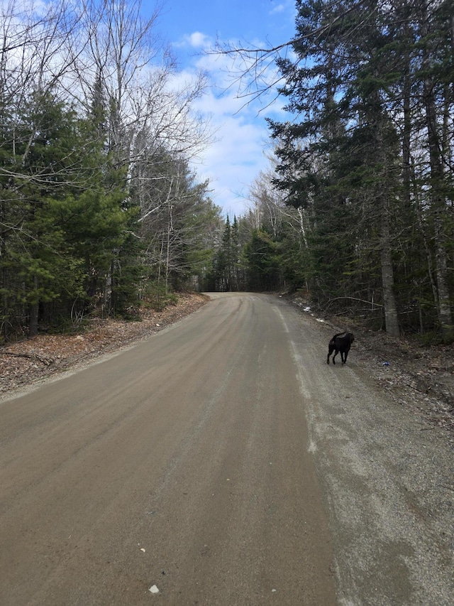 view of street featuring a view of trees