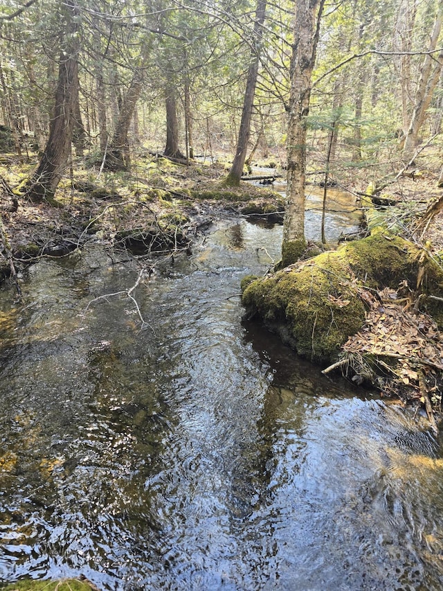 view of water feature