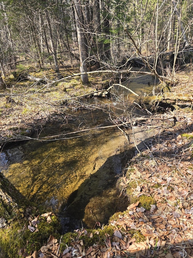 view of nature