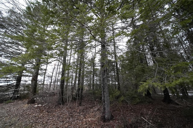view of nature