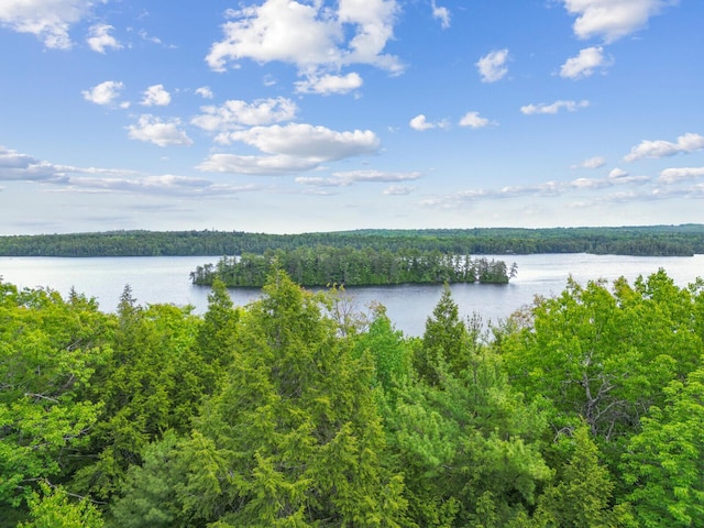 view of water feature featuring a forest view