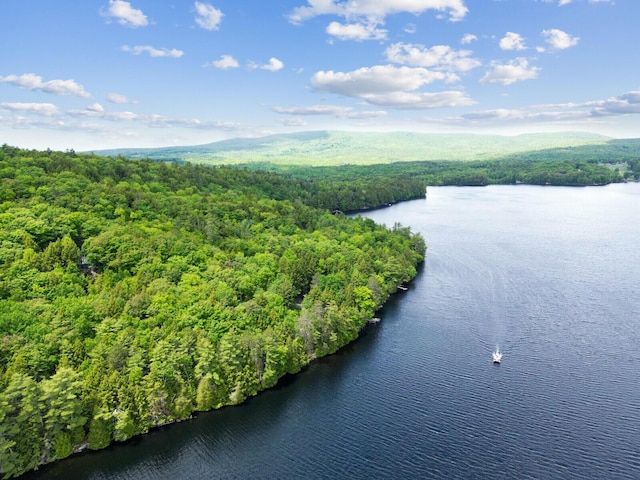 aerial view with a water view and a view of trees