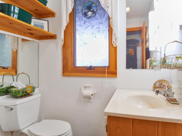 bathroom with toilet and vanity