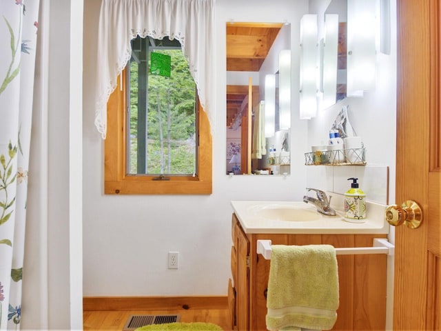 bathroom featuring visible vents and vanity