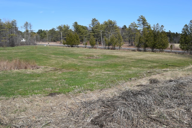 view of yard with a rural view