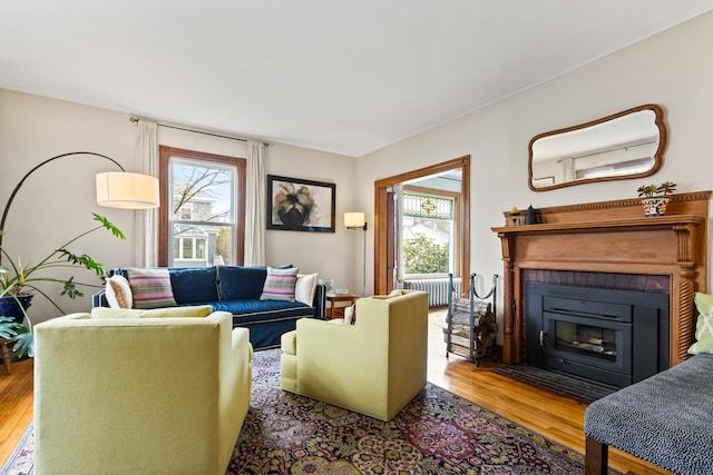 living area featuring a fireplace with flush hearth, radiator, wood finished floors, and a healthy amount of sunlight
