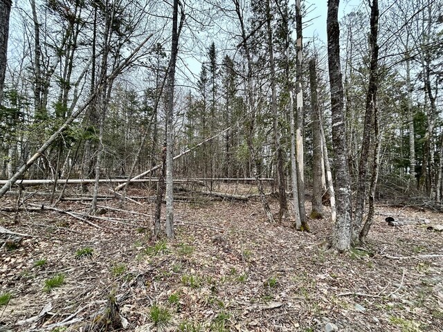 MAP11 Gray Rd, Sangerville, ME 04479
