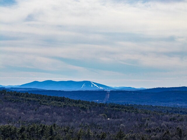 LOT4 High Ridge Rd, Paris, ME 04281 - photo 6