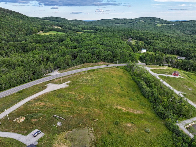 LOT4 High Ridge Rd, Paris, ME 04281 - photo 5