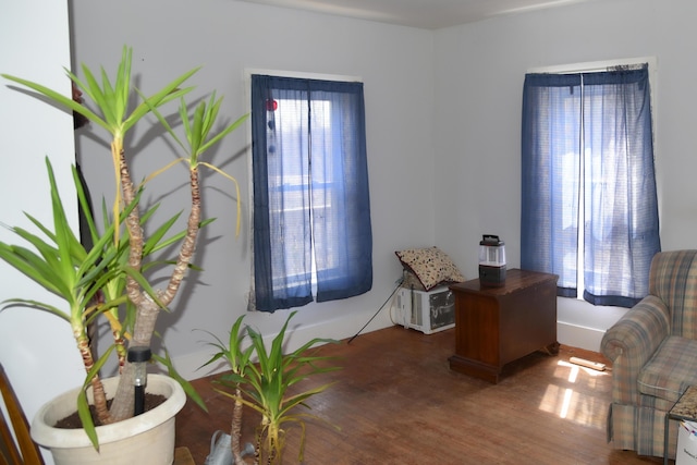 office space featuring wood finished floors