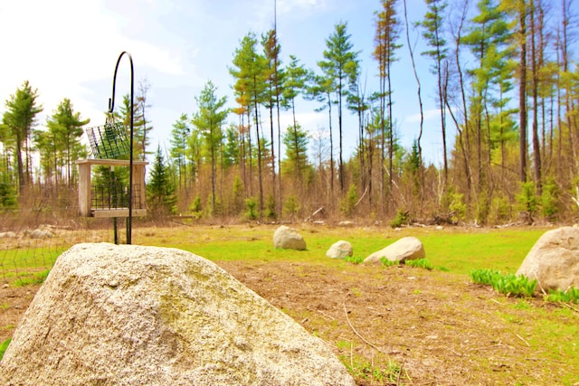 476 N Rd, Medford, ME 04463 - view of yard