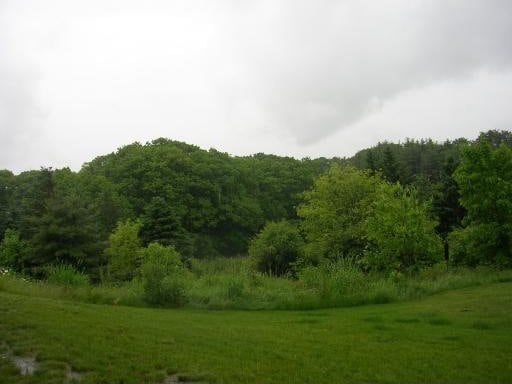 view of nature featuring a wooded view