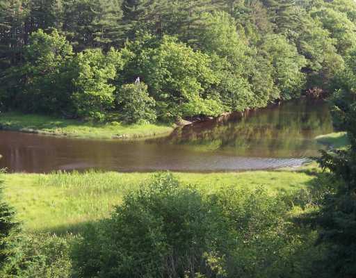 property view of water featuring a wooded view