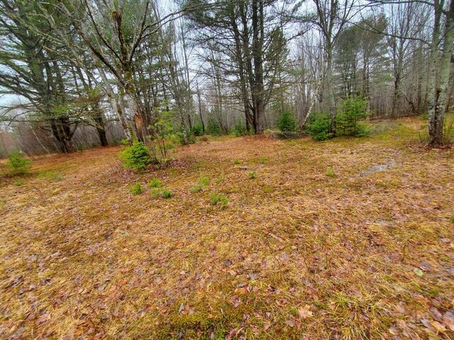 0 Ryan Rd, Baileyville, ME 04694 - photo 17