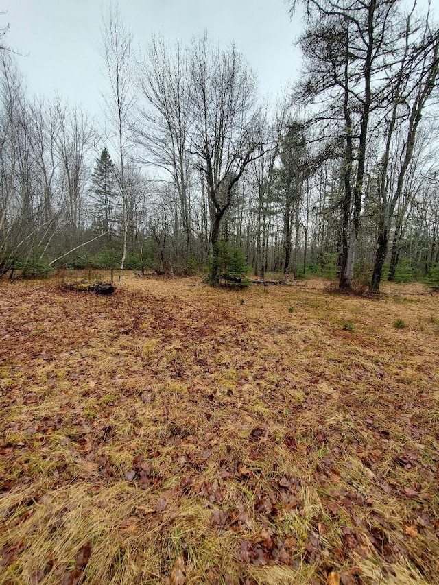 0 Ryan Rd, Baileyville, ME 04694 - photo 27