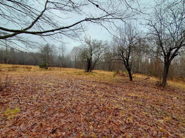 0 Ryan Rd, Baileyville, ME 04694 - photo 42