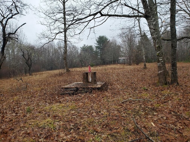 0 Ryan Rd, Baileyville, ME 04694 - photo 46