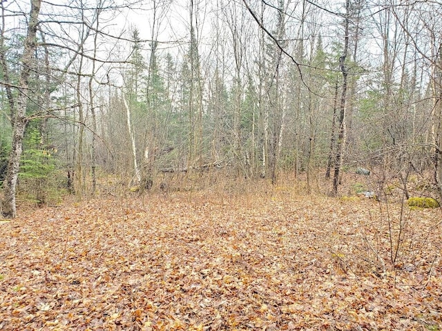 0 Ryan Rd, Baileyville, ME 04694 - photo 47