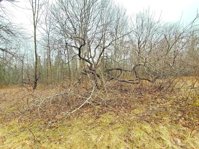 0 Ryan Rd, Baileyville, ME 04694 - photo 49