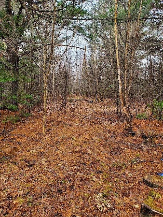 0 Ryan Rd, Baileyville, ME 04694 - photo 55