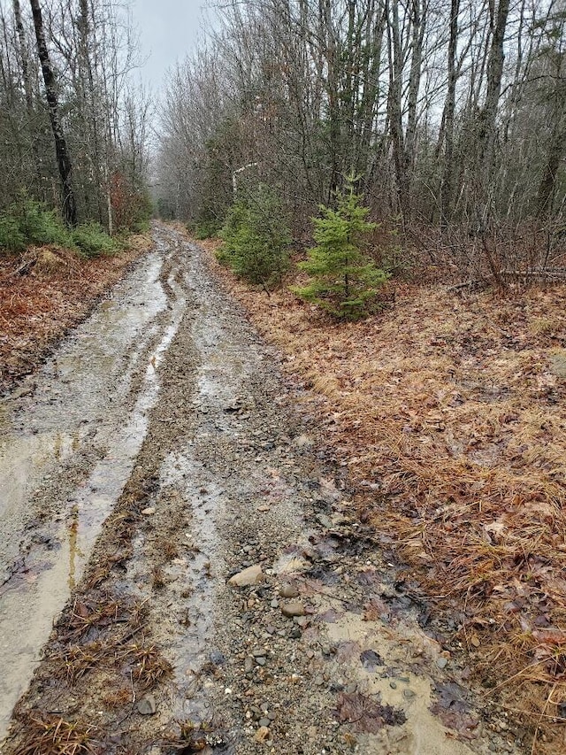 0 Ryan Rd, Baileyville, ME 04694 - photo 56