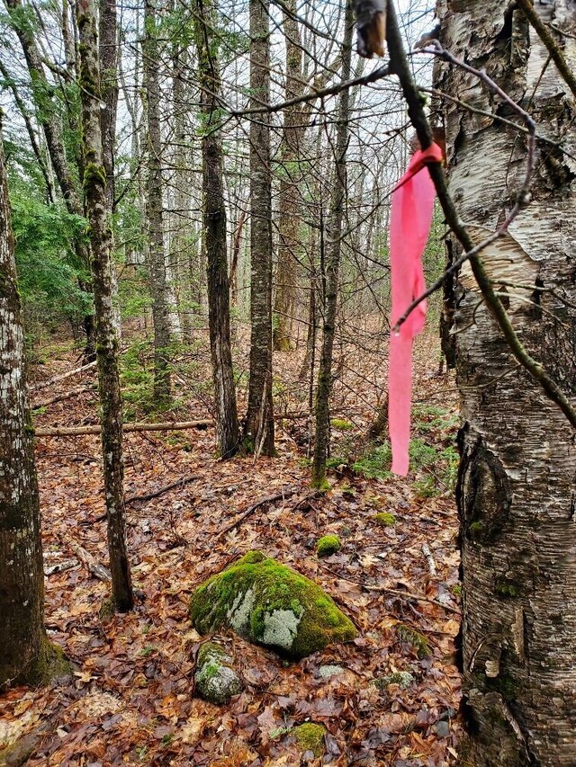 0 Ryan Rd, Baileyville, ME 04694 - photo 7