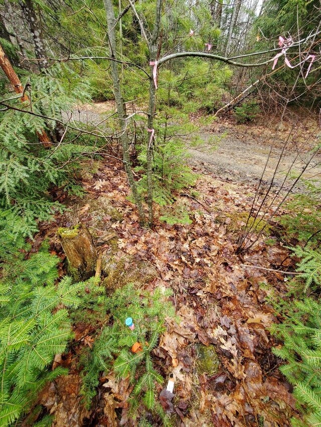 0 Ryan Rd, Baileyville, ME 04694 - photo 9