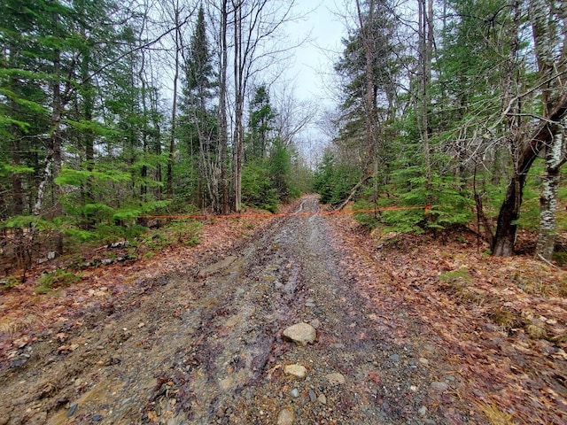 0 Ryan Rd, Baileyville, ME 04694 - photo 4
