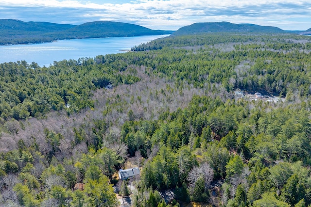 aerial view featuring a view of trees and a water and mountain view