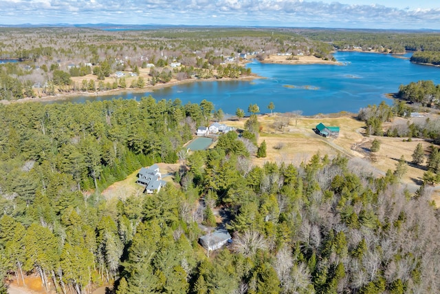 aerial view with a view of trees and a water view