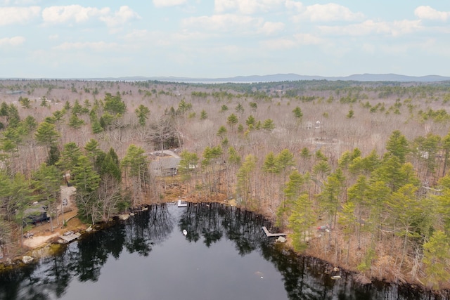 31 Pulpit Rock Rd, Raymond, ME 04071 - aerial overview of property's location featuring a forest and a nearby body of water