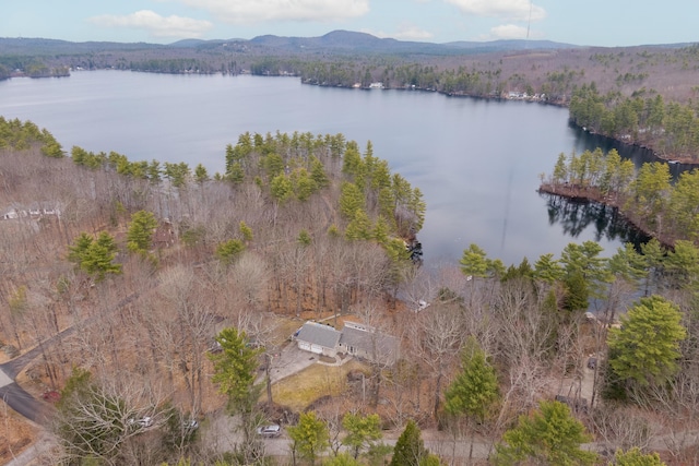 31 Pulpit Rock Rd, Raymond, ME 04071 - aerial view of property's location with a nearby body of water and a forest