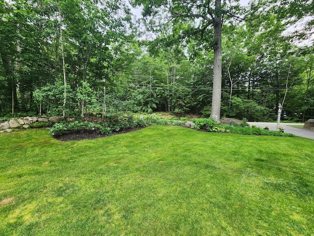 31 Pulpit Rock Rd, Raymond, ME 04071 - view of grassy yard