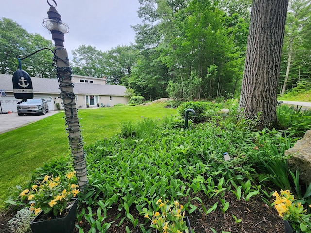 31 Pulpit Rock Rd, Raymond, ME 04071 - view of grassy yard