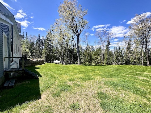 284 Dallas Hill Rd, Dallas Plt, ME 04970 - view of green lawn