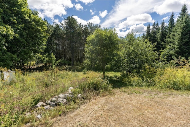 36 Cutler Rd, East Machias, ME 04630 - view of woods
