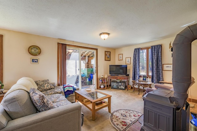 46 Winslow Hill Rd, Nobleboro, ME 04555 - living room featuring carpet, a textured ceiling, and plenty of natural light