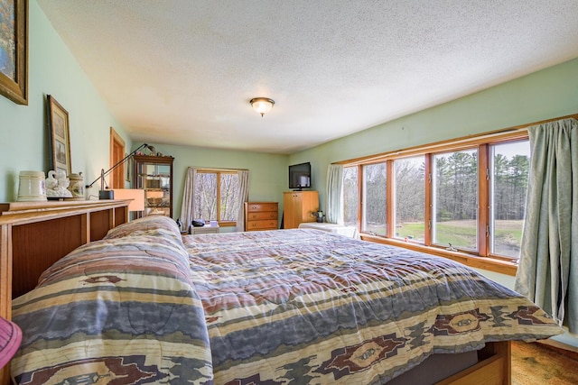 46 Winslow Hill Rd, Nobleboro, ME 04555 - bedroom featuring carpet flooring, multiple windows, and a textured ceiling