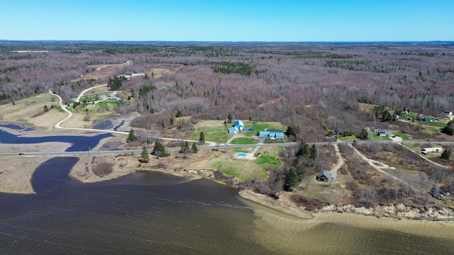 view of property location with a forest and a large body of water