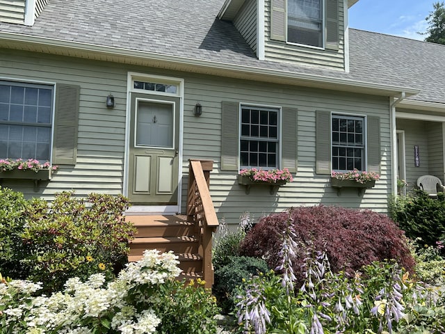 view of exterior entry with roof with shingles