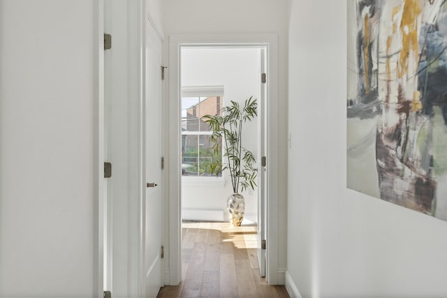 148 Newbury St Unit 2, Portland, ME 04101 - hallway with wood-type flooring