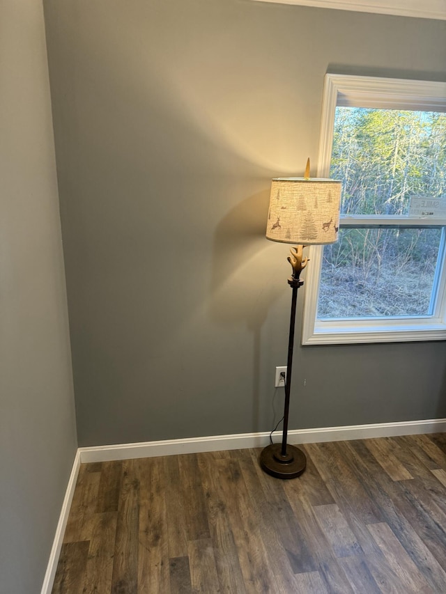 details featuring wood finished floors and baseboards