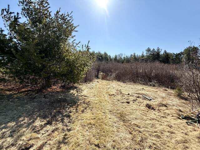 view of nature